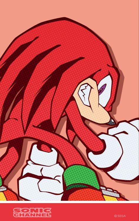 This Art Is From The Sonic Channel Website Sonic Echidna, Sonic Channel, Knuckles Sonic, Knuckles The Echidna, Shadow Sonic, Sonic & Knuckles, Rouge The Bat, Sonic Heroes, Sonic Funny