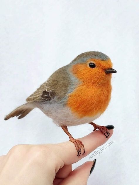 Needle Felt Robin, Needle Felted Robin, Diy Animals, Robin Pictures, Felting Diy, Clay Bird, Clay Birds, Needle Felting Diy, Felt Pictures