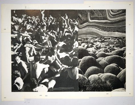 Herd Mentality, Assemblage, Collage Art, Collage, Art