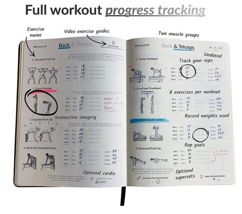 13-week fitness planner requiring only dumbbells! It's designed to help you track your weight/reps. This is really a hybrid between a personal trainer and workout log book! NO THINKING NEEDED! 65 workouts laid out in the workout journal / workout planner. #1 fitness journal for women & men. Each workout is broken into two primary muscle groups. The workout notebook has 4 exercises per muscle group to record in your fitness log. Dumbbell Home Workout, Workout Notebook, Journal Workout, Workout Log Book, Workout Book, Workout Journal, Planner Workout, Tricep Kickback, Planner Fitness