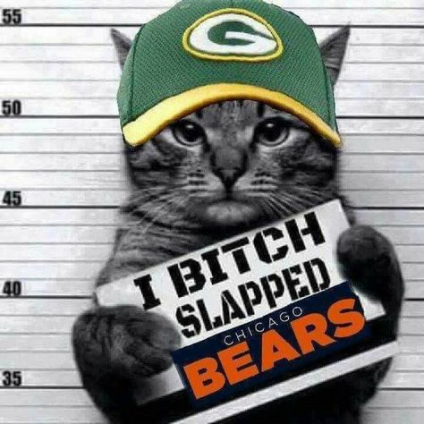 Packers Vs Vikings, Football Humor Nfl, Packers Vs Bears, Packers Memes, Packers Party, Green Bay Packers Funny, Nfl Jokes, Packers Funny, Green Bay Packers Wallpaper