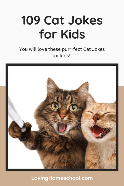 You will love these purr-fect 109 Cat Jokes for kids! Whether you are doing a study on cats or just love a good joke, you will have fun with these! Cat Jokes For Kids, Cat Massage, Jokes For Teens, National Cat Day, Cat Jokes, Cat Call, Funny Jokes For Kids, Cat Talk, Alley Cat