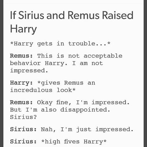 Wolfstar Raising Harry, Sirius And Remus, Marauders Headcanons, Harry Potter Texts, Funny Harry Potter Jokes, Harry Potter Memes Hilarious, Gay Harry Potter, Harry Potter Feels, Harry Potter Puns