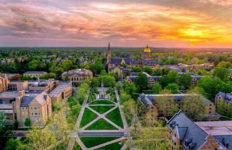 Beautiful landscape view of Notre Dame Notre Dame Campus, Turkey Run State Park, Ohio State Parks, Golden Dome, Go Irish, University Of Notre Dame, Indiana Dunes, Church Pictures, Dream School