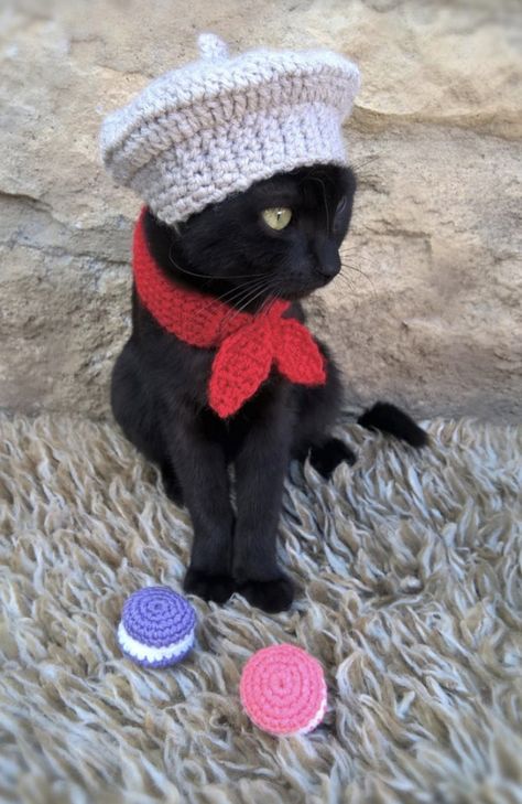 Cat Outfits, Cat Hat Pattern, Cat Outfit, Cat Magic, Crochet Cat Hat, French Beret Hat, French Beret, Hat And Scarf, Happy Things