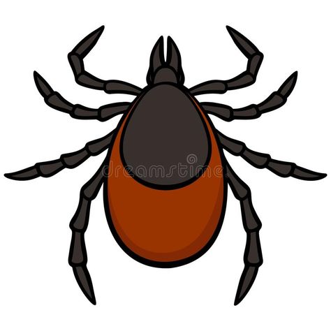 Tick. A vector illustration of a Tick , #AFFILIATE, #Tick, #vector, #illustration #ad Tick Drawing, Tick Tattoo, Bug Tattoo, Carnival Posters, Biomechanical Tattoo, Scrapbook Ideas, Ticks, Easy Drawings, Bugs