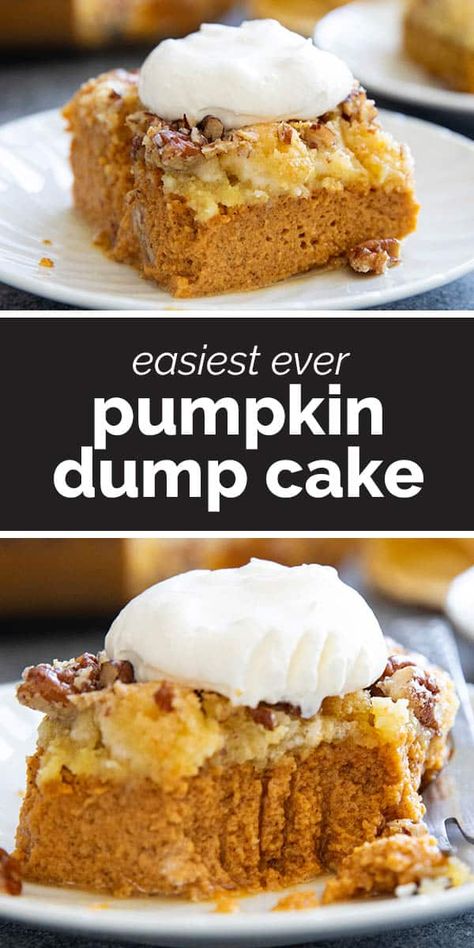 An easy fall dessert, this Pumpkin Dump Cake only takes a few minutes to prep. It’s easy and delicious, and tastes just like fall! Mini Dump Cake, Pumpkin Dump Cake Recipe Crockpot Easy, Better Than Pumpkin Pie Cake, Creamy Pumpkin Desserts, Pumpkin Cups Dessert, Easy Dump Desserts, Pumpkin Dump Cake With Spice Cake, Pumpkin Cream Cheese Desserts Easy, Crockpot Pumpkin Dump Cake