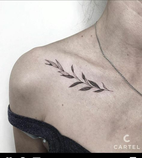 Collarbone Tattoo Leaf, Collarbone Tattoo Olive Branch, Botanical Collar Bone Tattoo, Leaf Collarbone Tattoo, Collarbone Leaf Tattoo, Olive Branch Tattoo Collar Bone, Floral Collarbone Tattoo, Olive Branch Collar Bone Tattoo, Collarbone Tattoos