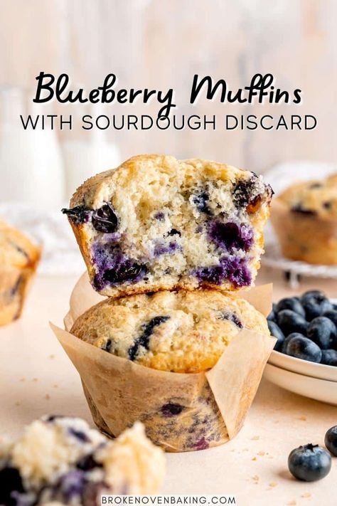 Jumbo Blueberry Sourdough Discard Muffins Discard Muffins, Sourdough Discard Muffins, Blueberry Sourdough, Jumbo Blueberry Muffins, Sourdough Muffins, Recipe Using Sourdough Starter, Jumbo Muffins, Sourdough Starter Discard Recipe, Homemade Sourdough Bread