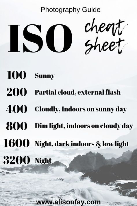 Learn how to control your camera's ISO with this free cheat sheet. #travelphotography #photographyguides #phototips #cheatsheet #photoguides #photography Camera Settings Cheat Sheet Nikon, Dslr Camera For Beginners Photography Basics, Kodak Pixpro Az528 Tips, Landscape Photography Settings, Photography Techniques Ideas, How To Use A Camera, Family Portrait Camera Settings, How To Photography, Beginning Photography Tips