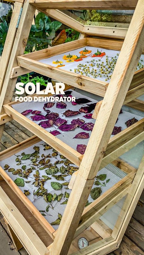 Repurpose those glass panels to make a food dehydrator powered by the sun This DIY build makes me all giddy inside, been dreaming of this… | Instagram Solar Dehydrator, Vegetable Garden Raised Beds, Root Cellar, Food Dehydrator, Homestead Gardens, Herbs And Flowers, Permaculture Design, Plant Projects, Solar Projects