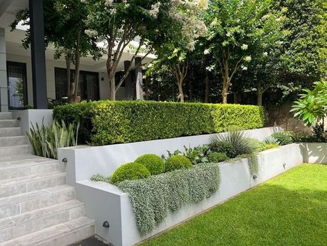 Sloped Front Yard Landscaping, Landscape Design Backyard, Front Garden Entrance, Sloped Front Yard, Back Garden Landscaping, Hampton Garden, Landscaping On A Hill, Design Backyard, Front Garden Landscape