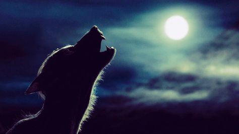 Remus Lupin Werewolf Remus Lupin, A Wolf, Full Moon, The Moon, Harry Potter, Moon