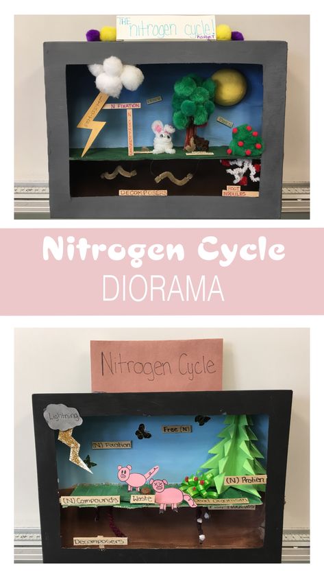 A fun diorama representing the nitrogen cycle. You can make it out of a cereal box and a few craft items around the house. Nitrogen Cycle Model, Nitrogen Cycle Project, Plants Science Project, Science Exhibition Projects, Land Forms, Cycle For Kids, Science Exhibition, Nitrogen Fixation, Nitrogen Cycle