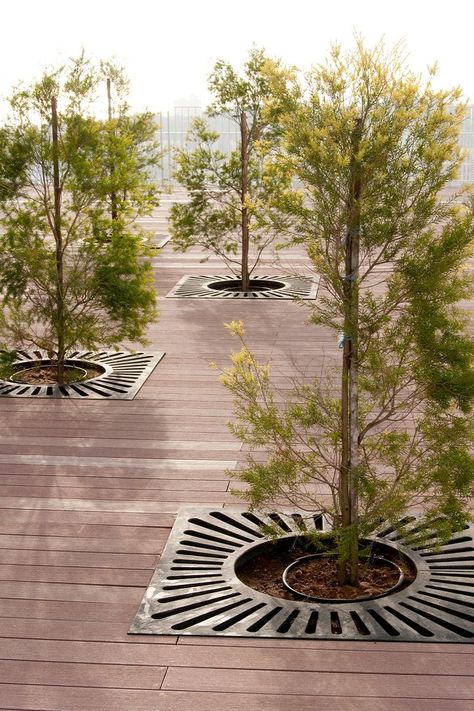 Tree Protection, Drainage Grates, Tree Grate, Privacy Screens, Street Furniture, Modern City, Decorative Panels, Privacy Screen, Emboss