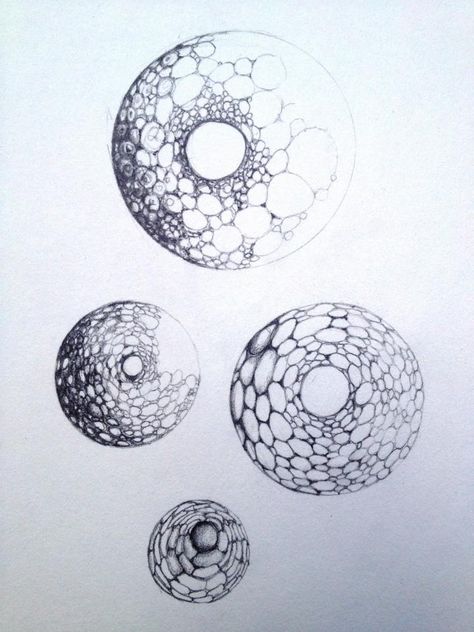 Orb Drawing, Coral Drawing, Intro To Art, Charcoal Artwork, Bio Art, Intuitive Art, Web Inspiration, Circle Art, Pencil Art Drawings