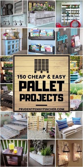 Easy Pallet Projects, Diy Pallet Decoration, Diy Wood Pallet Projects, Pallet Projects Easy, Free Pallets, Pallet Ideas Easy, Pallet Creations, Pallet Decor, Sand Dollars