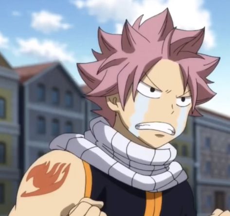 Fairy Tail Anime Natsu, Fairy Tail Meme, Fairy Tail Photos, Fairy Tail Family, Fairy Tail Images, Natsu Fairy Tail, Natsu X Lucy, Fairy Tail Pictures, Fariy Tail