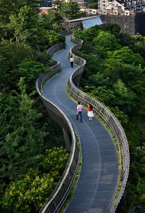 Fuzhou Forest Walkway by LOOK Architects Villa Architecture, Pedestrian Walkway, Plans Architecture, Urban Forest, Lan Can, Landscape Design Plans, Landscape Architecture Design, Urban Park, Landscaping Supplies