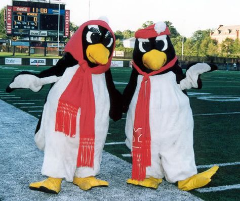 #Youngstown #State #University #Mascot Pete and Penny @Homefacts Youngstown State University, Youngstown Ohio, School Theme, Valentines Day Couple, Winter Event, Top Colleges, Ohio Usa, Red Scarves, Event Marketing