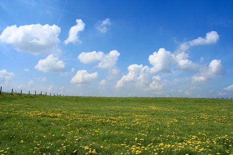 Open field. Scenic picture of a meadow full of dandelions with impressive sky an , #Affiliate, #picture, #meadow, #Scenic, #Open, #field #ad Open Field Aesthetic, Aesthetic Meadow, Vtuber Moodboard, Beautiful Scenery Paintings, Tuscan Village, Field Aesthetic, Scenic Images, Field Background, Meadow Landscape