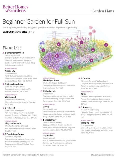 Beginner Garden, Flower Garden Layouts, Full Sun Garden, Perennial Garden Plans, Flower Garden Plans, Flower Bed Designs, Green Meals, Garden Plan, Sun Perennials