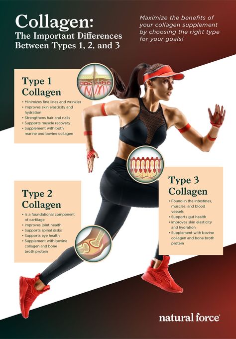 Collagen: The Important Differences Between Types 1, 2, and 3 Muscle Recovery Supplements, Health Benefits Of Collagen, Collagen Benefits, Healthy Eyes, Collagen Supplements, Collagen Powder, Healthy Joints, Collagen Peptides, Improve Skin Elasticity