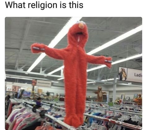 "Have you accepted Elmo as your lord and savior?....." Elmo Memes, Elmo World, Weird Images, Really Funny Pictures, Really Funny Memes, Funny Me, Funny Photos, Mood Pics, Funny Images