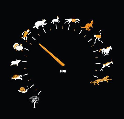 Nature Odometer Image Nature, Retina Display, Vehicle Gauge, 로고 디자인, Car Stickers, Iphone Wallpaper, Graffiti, Clock, Tshirt Designs