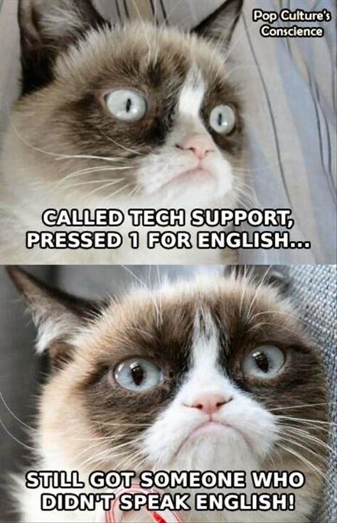 Hate the sentiment, looove the bottom face. :D Grumpy Cat Memes, Grumpy Cat Meme, Grumpy Cat Quotes, Life Alert, Salford City, Grumpy Cat Humor, Cat Quotes Funny, Angry Cat, Cat Meme