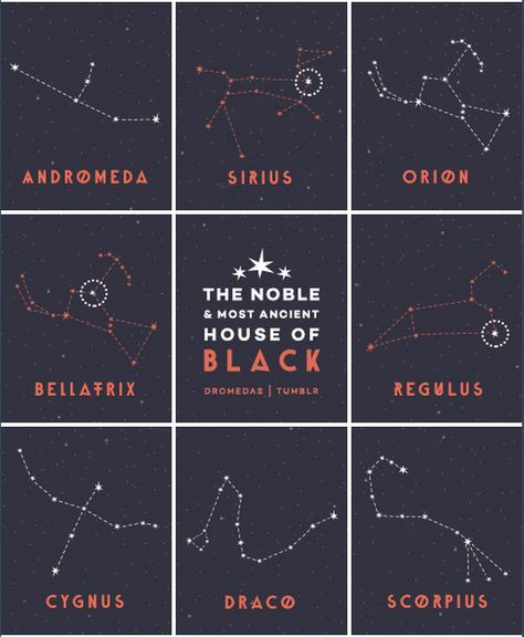 Regulus Constellation Tattoo, House Of Black Fanart, Regulus Star Wallpaper, Marauders Era Tattoo, Regulus Black Tattoo Ideas, Wolfstar Constellation, Regulus Black Tattoo, Regulus Constellation Wallpaper, The Black House Harry Potter