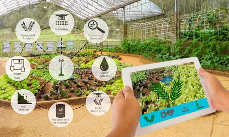 Smart Farm (Internet of Faming) – BlueCom Technologies Agriculture Robot, Farm Infographic, Smart Agriculture, Smart Farming, Agriculture Photography, Agriculture Design, Agriculture Technology, Smart Farm, Agriculture Projects