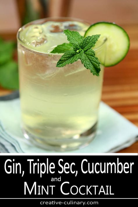 Triple Sec Drinks, Cocktails For Beginners, Triple Sec Cocktails, Culinary Food, Mint Cocktails, Healthy Cocktails, Happy Hour Drinks, Triple Sec, Summer Refreshments