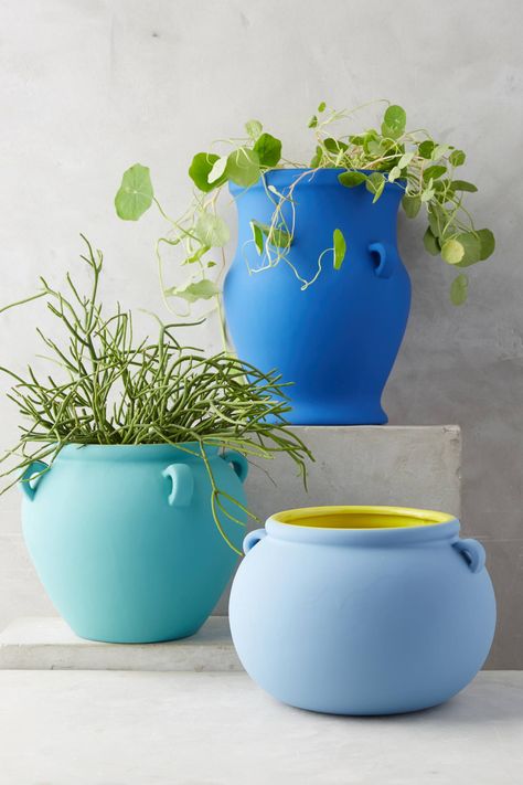 Pierre Color-Contrast Pot Gardening Pots, Plant Pot Diy, Pottery Pots, Painted Pots Diy, Cape House, Flower Pots Outdoor, Ceramic Flower Pots, Colorful Plants, Pot Designs