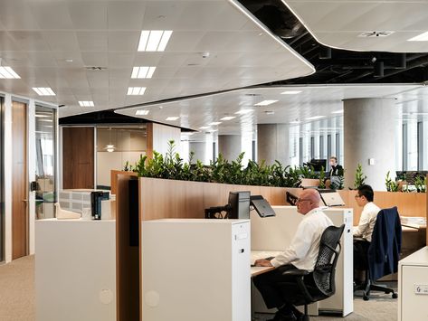 Gilbert + Tobin Sydney | Woods Bagot Round Reception Desk, Office Cubicle Design, Office Open Plan, Law Office Design, Cubicle Design, Woods Bagot, Banks Office, Commercial Office Design, Corporate Office Design