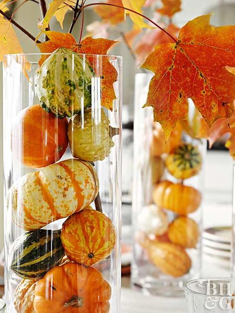 mini pumpkins and gourds in vase Diy Thanksgiving Centerpieces, Thanksgiving Hacks, Fruit Centerpieces, Thanksgiving Decorations Diy, Hosting Holidays, Diy Thanksgiving, Thanksgiving Diy, Fall Thanksgiving Decor, Pumpkin Centerpieces