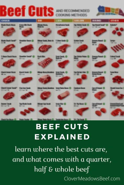 Cuts of Beef: What Cuts Do You Get With a Quarter or Half Beef? Buying A Whole Cow, Beef Cuts Diagram, Meat Grinder Recipes, Food Replacements, Grinder Recipes, Raising Beef Cattle, Beef Cuts Chart, Cow Recipes, Delmonico Steak