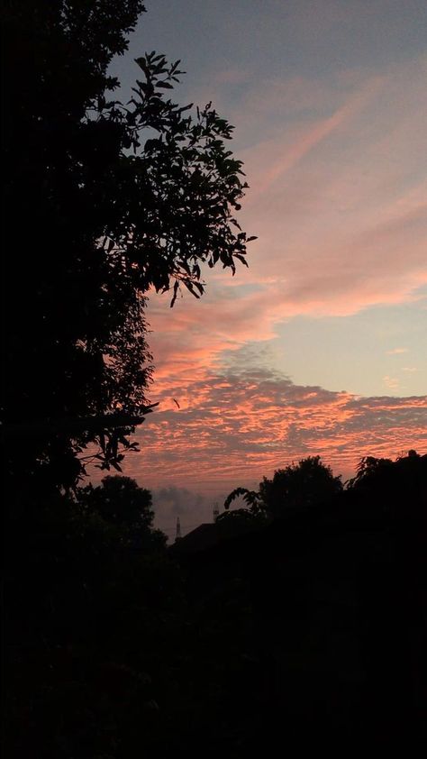 Beautiful sky in the morning | Pinterest Birds Chirping Video, Birds Chirping Quotes, Video For Story, Roosters Crowing, Amazing Nature Videos, Sky Videos, Landscape Videos, Birds Video, Air Birds