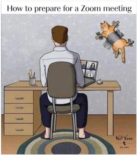 Meeting Memes, Working From Home Meme, Instant Messaging, Zoom Call, Funny Cat Pictures, Work Humor, Cat Sitting, Cat Owners, Cartoon Cat