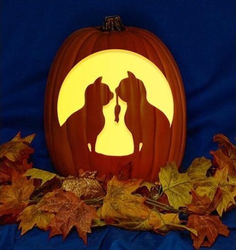 Cat Pumpkin Carving, Etching Ideas, Cute Pumpkin Carving, Pumpkin Carver, Pumkin Carving, Halloween Pumpkin Carving Stencils, Creative Pumpkin Carving, Amazing Pumpkin Carving, Scary Pumpkin Carving