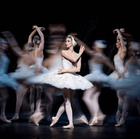 Lauren Cuthbertson, Ballet Gif, Swan Lake Ballet, Ballet Aesthetic, Alice In Wonderland Tea Party Birthday, Ballerina Barbie, Ballet Pictures, Ballet Beauty, Dance Dreams