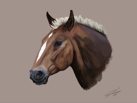 #art #horse #digitalart #horsehead #digitalpainting Horse Digital Painting, Sketches Disney, Western Sketches, Horse Digital Art, Horse Base, Horses Drawing, Horse Sketches, Horse Head Drawing, Horse Study