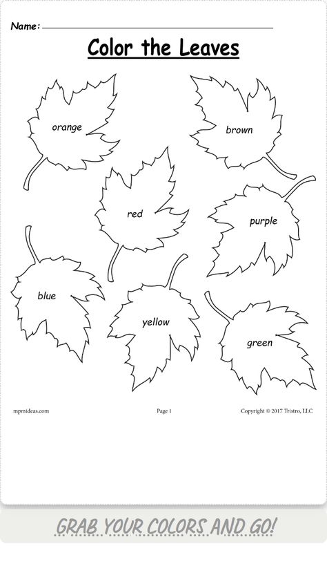 Fun fall leaf color worksheet for kids!  Learn & identify autumn colors. Fall Leaf Colors, Fun Worksheet, Leaf Identification, Fall Worksheets, Fun Worksheets For Kids, Autumn Leaf Color, Color Words, Worksheet For Kids, Coloring Ideas