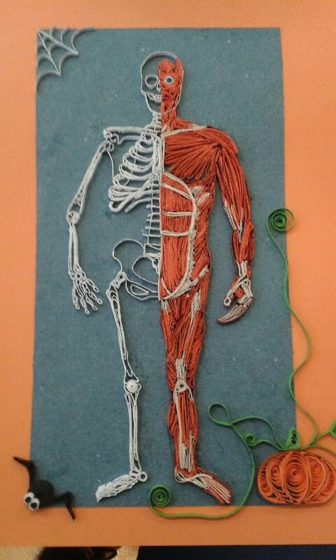 Quilling Spider, Muscular System Project, Anatomy Projects, Biology Models, Skeletal System Project, Spider Human, Body Systems Project, Human Body Science Projects, Human Body Science