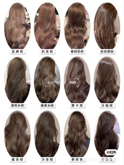 Neutral Skin, Neutral Skin Tone, Hair Color Asian, Korean Hair Color, Chestnut Hair Color, Brown Hair Looks, Cute Hair Colors, Brown Hair Inspo, Layered Haircuts For Medium Hair