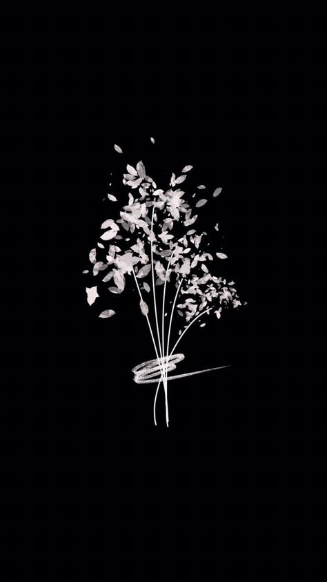 Black Aesthetic Wallpaper Flower, Aesthetic Black Background, Instagram Black Theme, Iphone Wallpaper Cat, Iphone Wallpaper Classy, Black And White Art Drawing, Cute Black Wallpaper, Witchy Wallpaper, Simple Phone Wallpapers