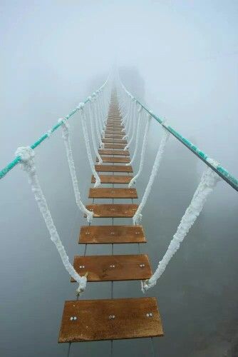 Walk of faith! Walkways Paths, Daring Greatly, Bridge Design, Suspension Bridge, Stairway To Heaven, Leap Of Faith, Life Pictures, Bay Bridge, Golden Gate Bridge