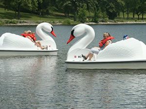 Swan paddle boats at Kensington Metropark Pedal Boats, Center Parcs, Paddle Boat, Outdoor Inspirations, Row Boat, Boat Rental, Detroit Michigan, Nature Trail, Bike Trails