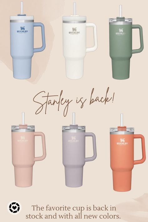 Back in stock with new colors for Spring! 40 ounce tumbler with handle from Stanley! Stanley Mug, Stanley Products, Trendy Water Bottles, Stanley Adventure, Coffee Smoothie, Cute Water Bottles, Stanley Quencher, Bar Set Up, Thermos Bottle