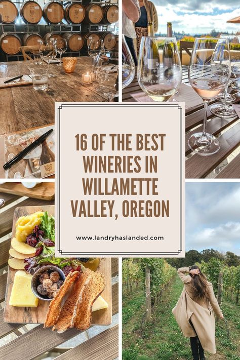 best wineries in Willamette Valley. Willamette Valley wineries in Oregon Willamette Valley Wineries, Willamette Valley Oregon Wine Tasting, Pnw Trip, Oregon Coast Camping, Oregon Wineries, Willamette Valley Oregon, Mcminnville Oregon, Oregon Wine Country, Wine Country Travel